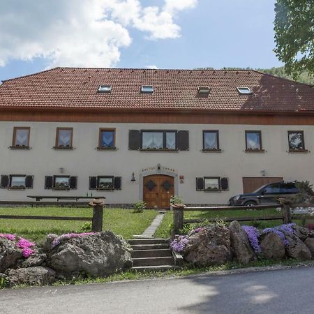 Turisticna Kmetija Toman Villa Gornji Grad Exteriör bild