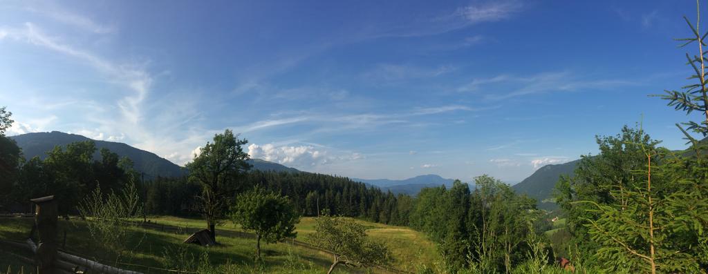 Turisticna Kmetija Toman Villa Gornji Grad Exteriör bild