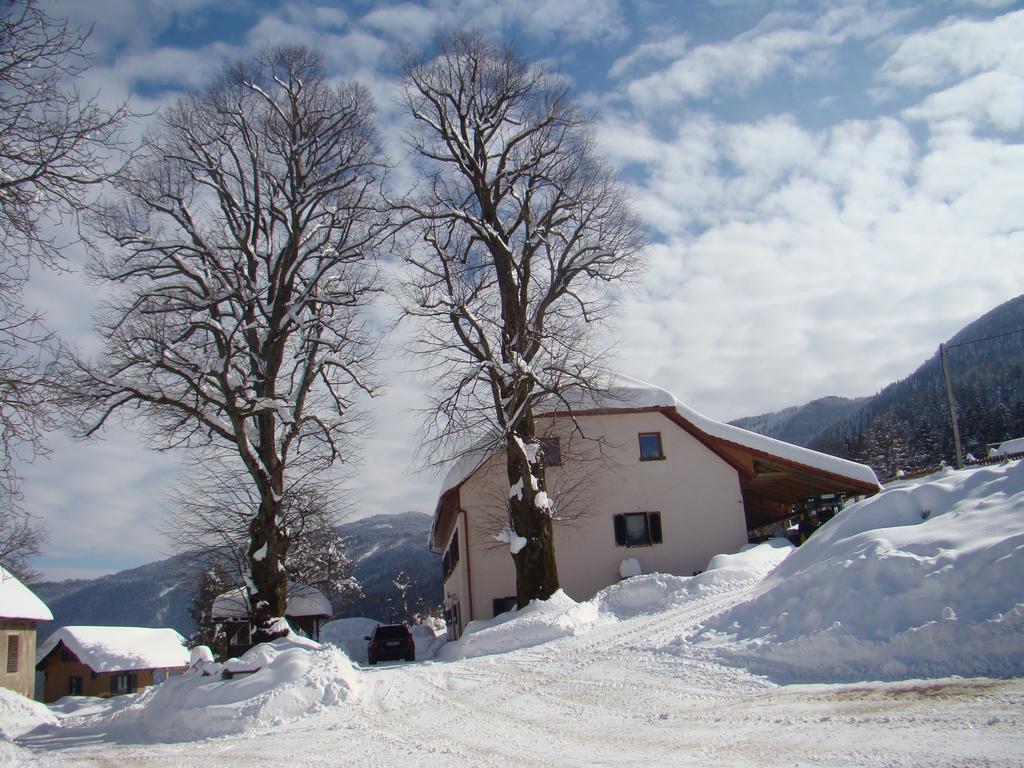 Turisticna Kmetija Toman Villa Gornji Grad Exteriör bild