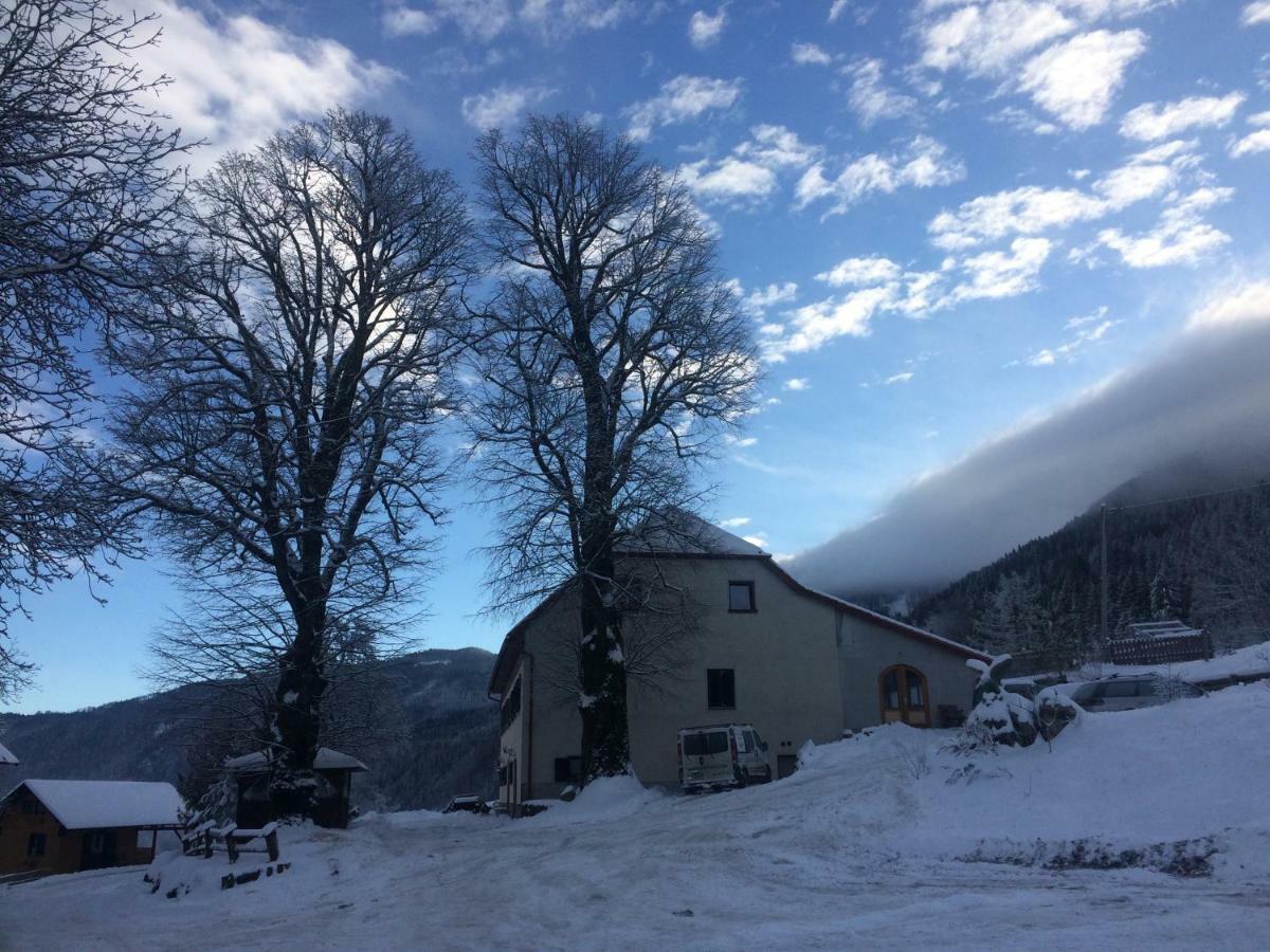 Turisticna Kmetija Toman Villa Gornji Grad Exteriör bild