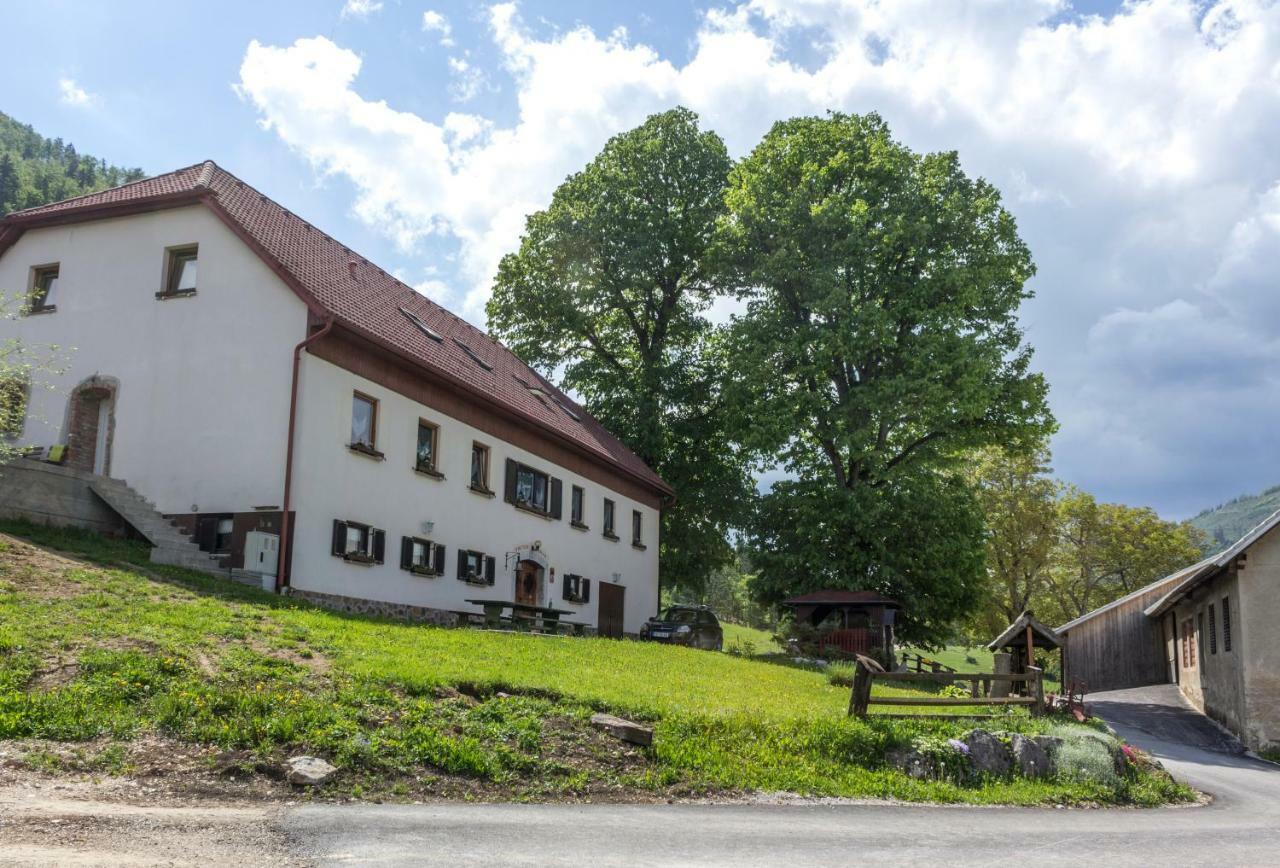 Turisticna Kmetija Toman Villa Gornji Grad Exteriör bild