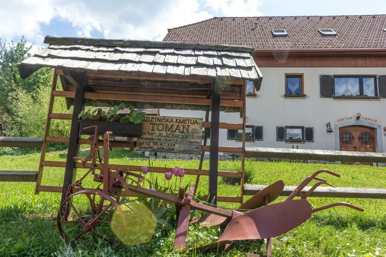 Turisticna Kmetija Toman Villa Gornji Grad Exteriör bild