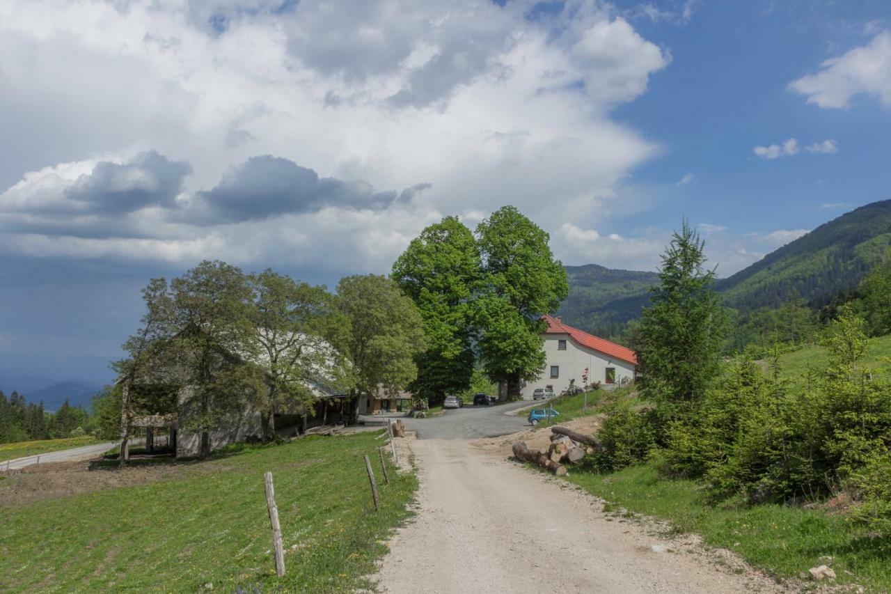 Turisticna Kmetija Toman Villa Gornji Grad Exteriör bild