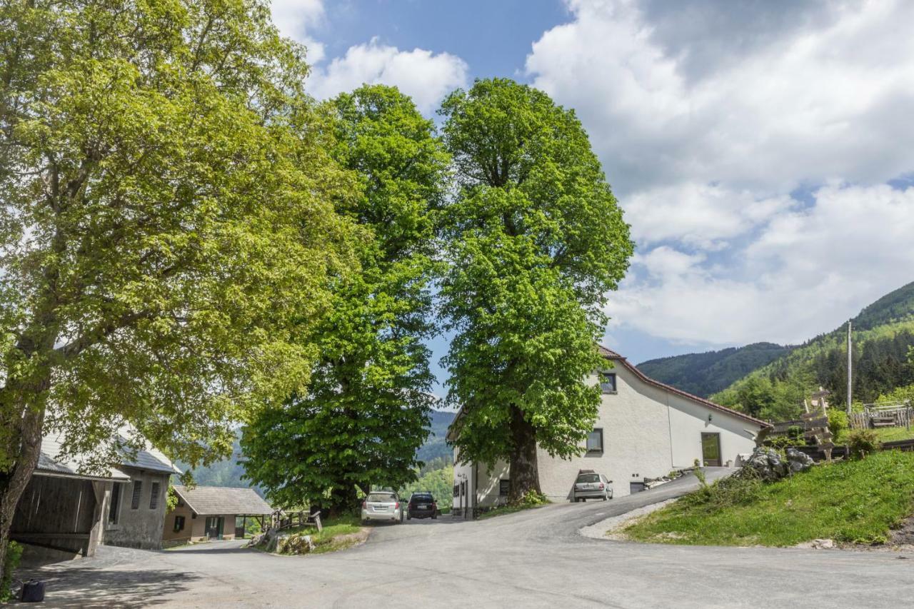 Turisticna Kmetija Toman Villa Gornji Grad Exteriör bild