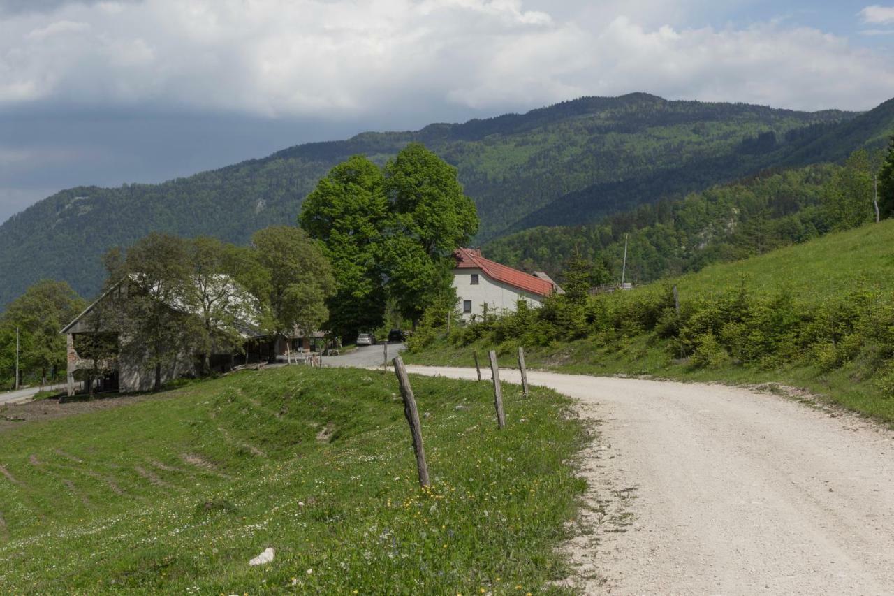 Turisticna Kmetija Toman Villa Gornji Grad Exteriör bild