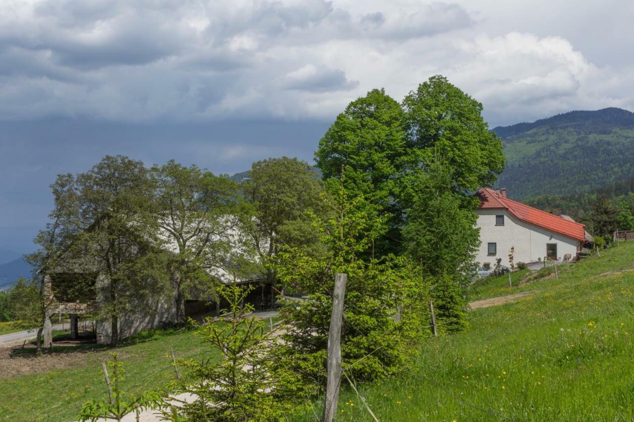 Turisticna Kmetija Toman Villa Gornji Grad Exteriör bild